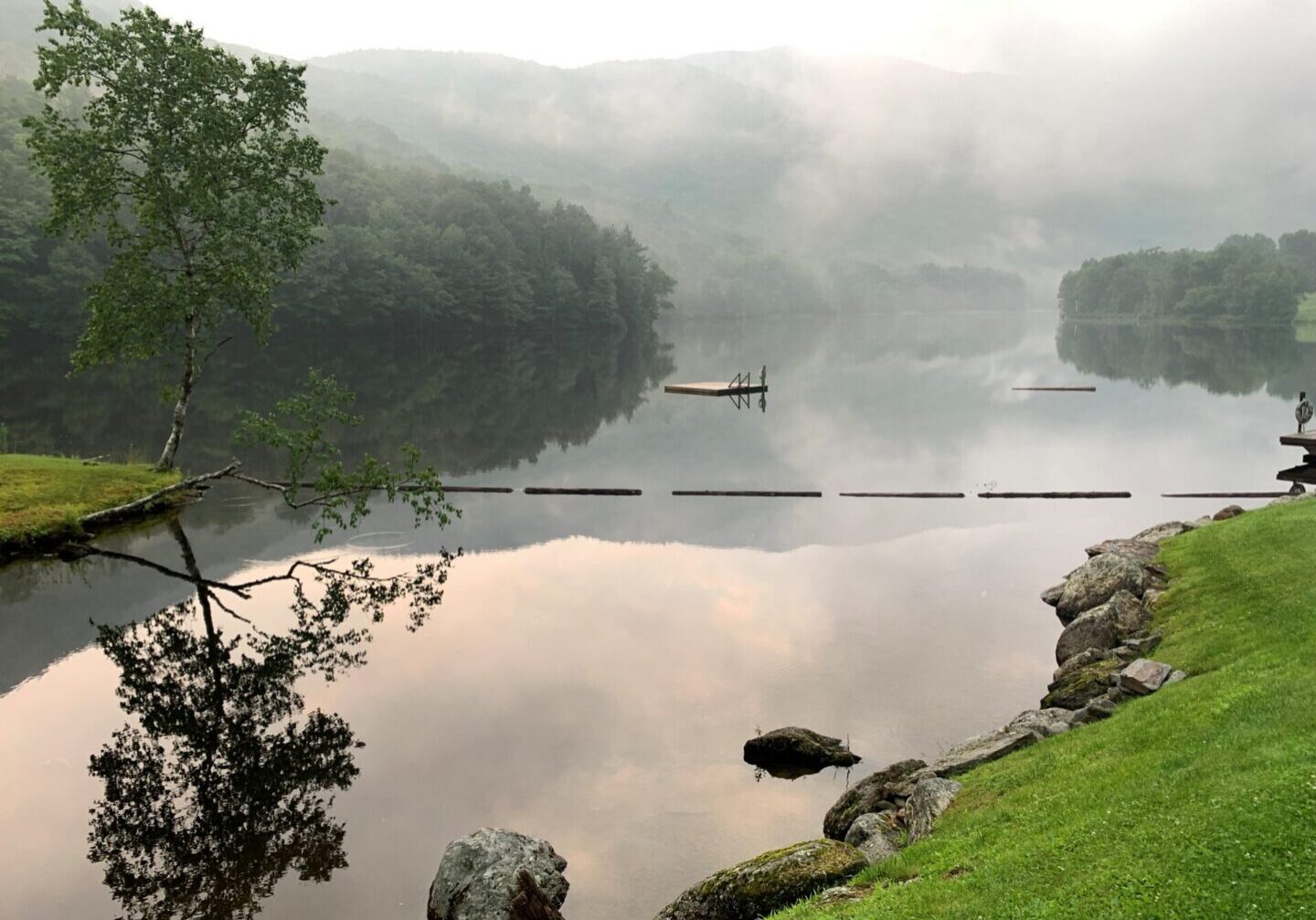 A body of water with trees and grass in the foreground.