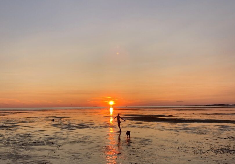 A person standing in the water at sunset.