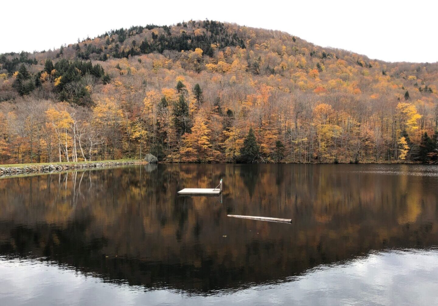 A boat is floating on the water near some trees.