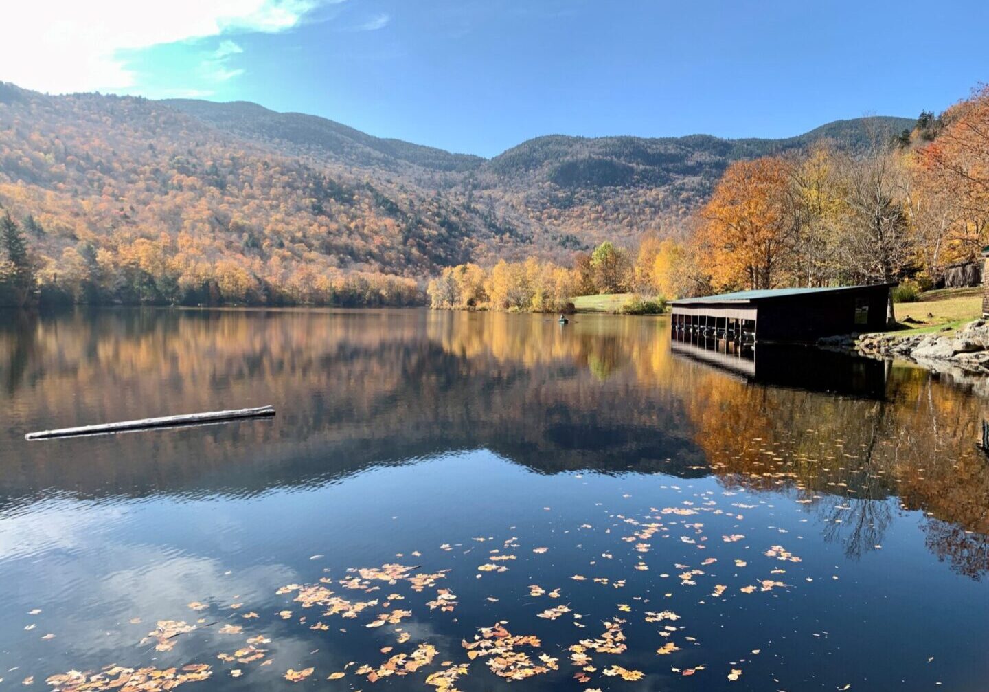 A body of water with trees and mountains in the background.