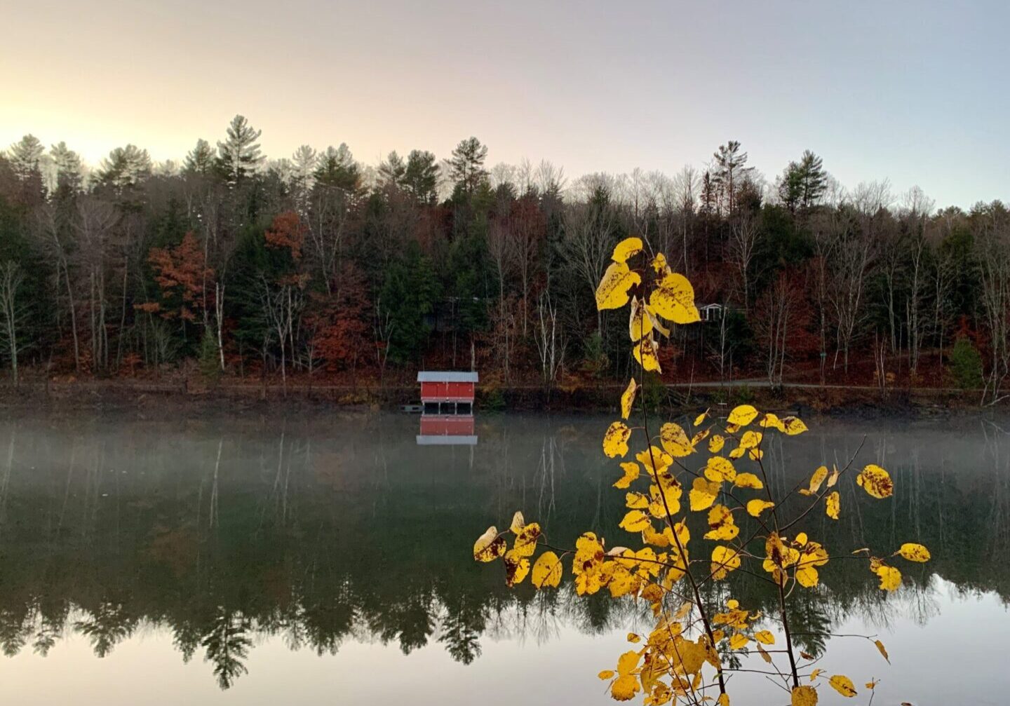 A bench sitting on the edge of a lake.