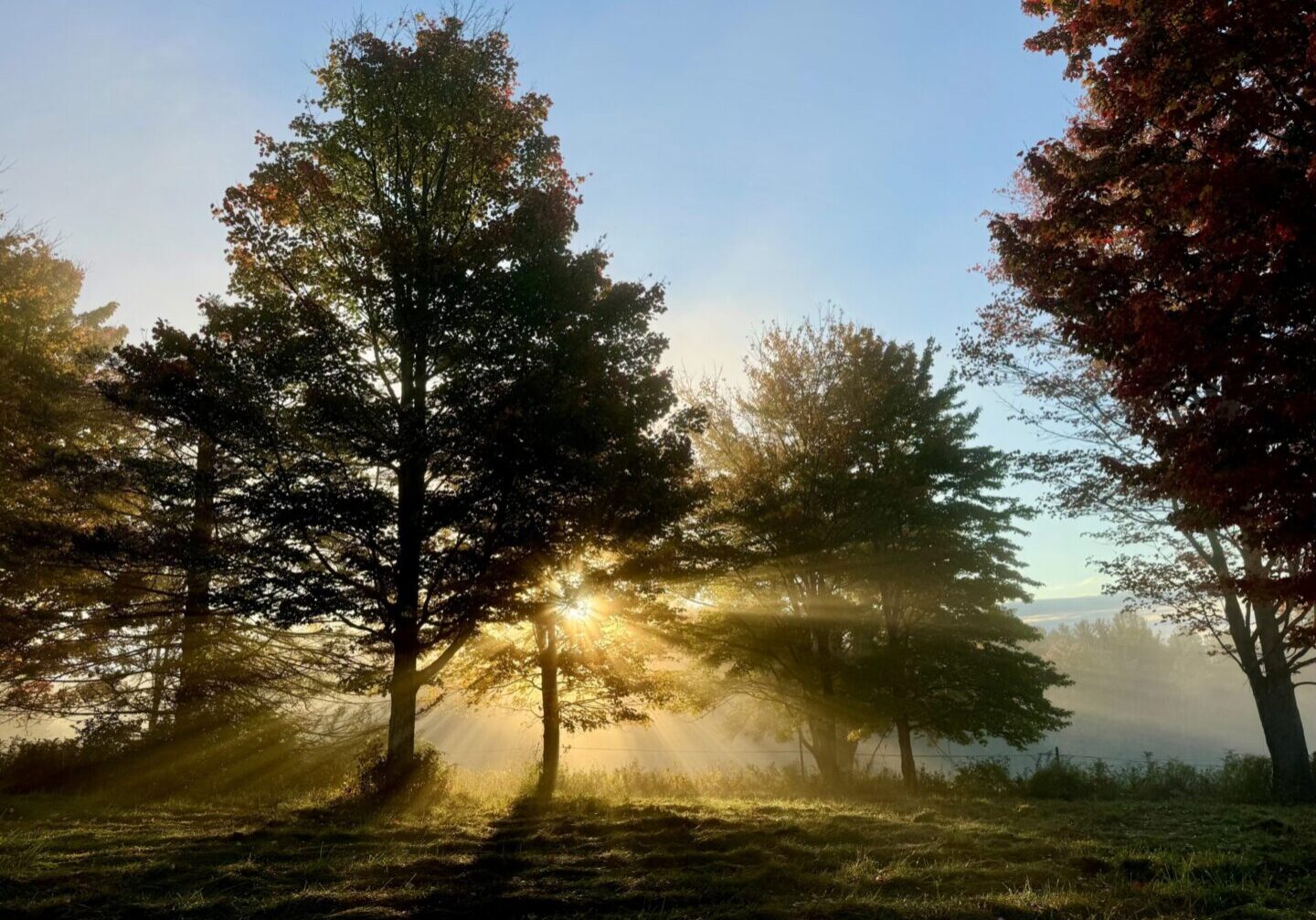 fall sunshine fall sunshine