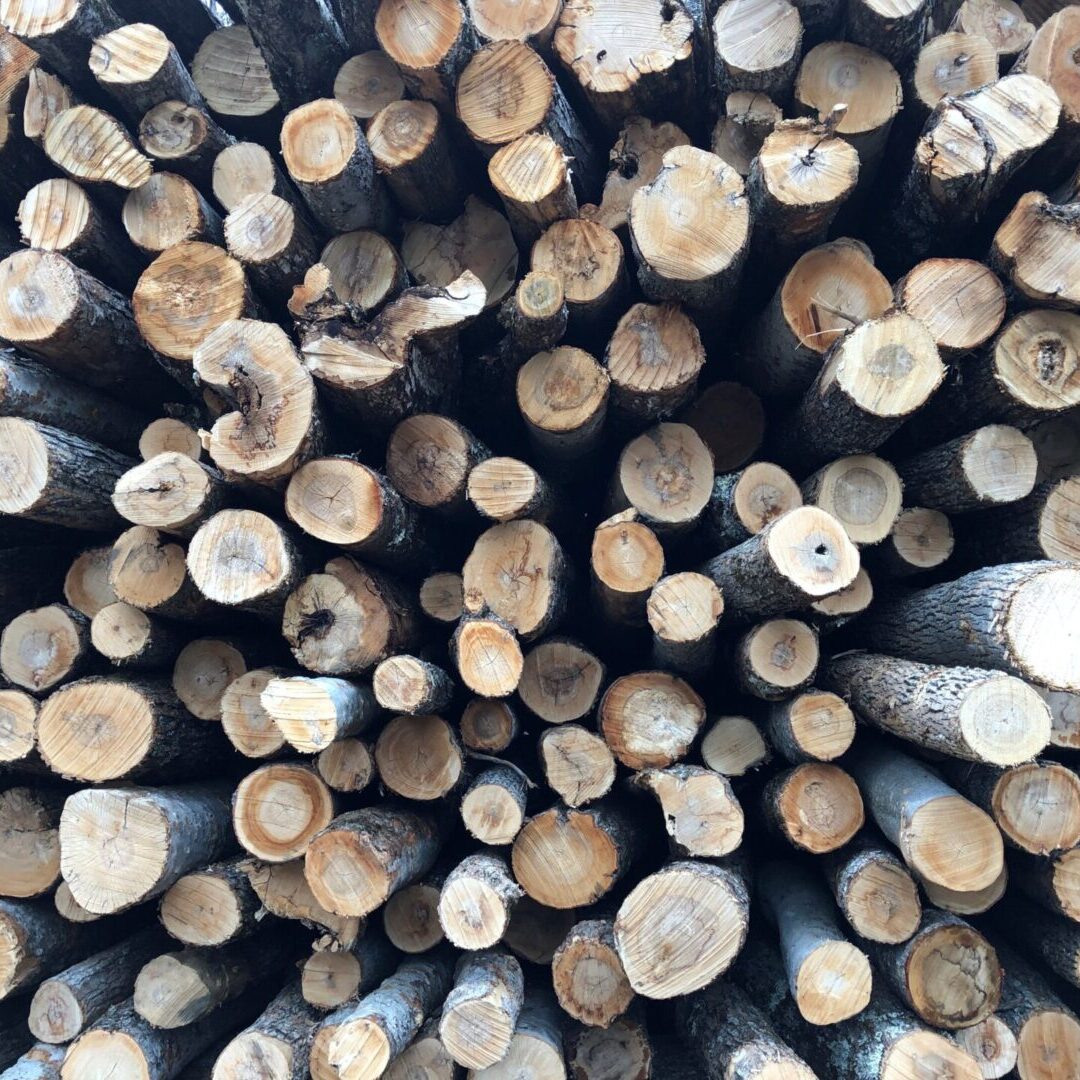 A pile of logs that are stacked together.