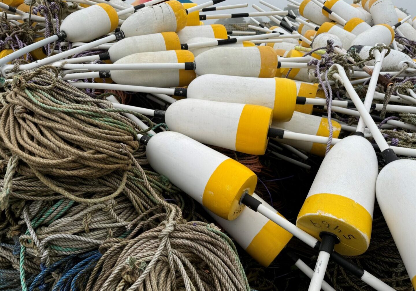A pile of white and yellow fishing buoys with attached ropes.