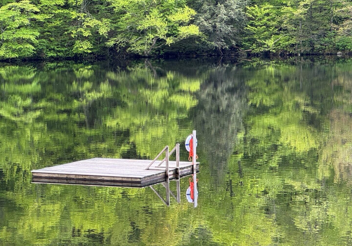 A serene lake with a small wooden dock and dense green trees reflected on the water.