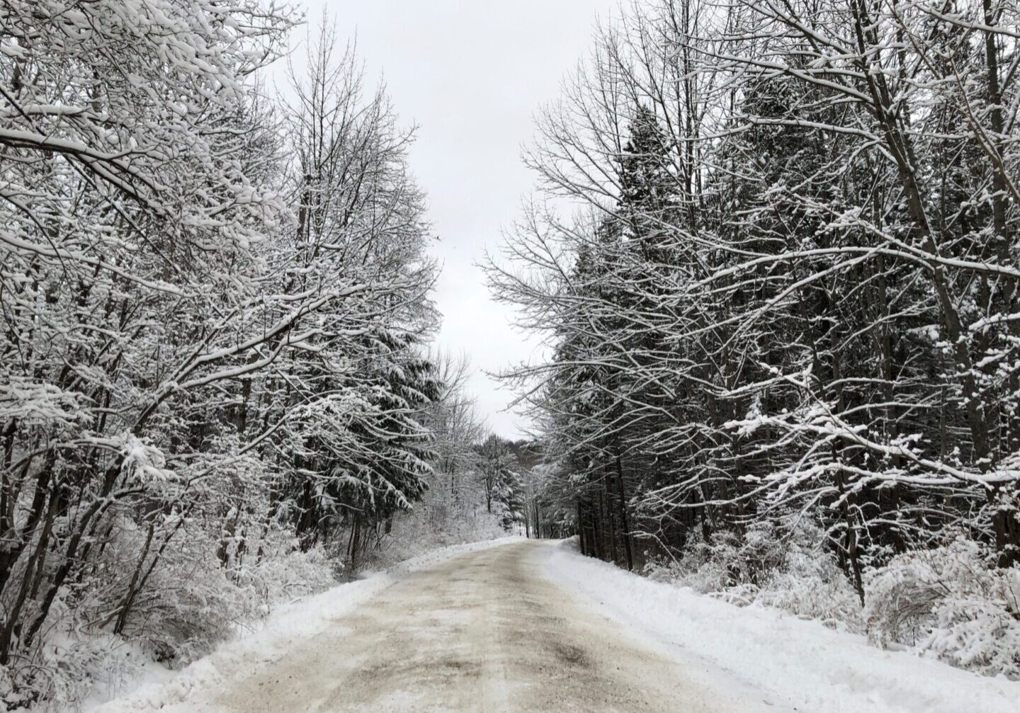 A snowy road with trees and snow on the side.