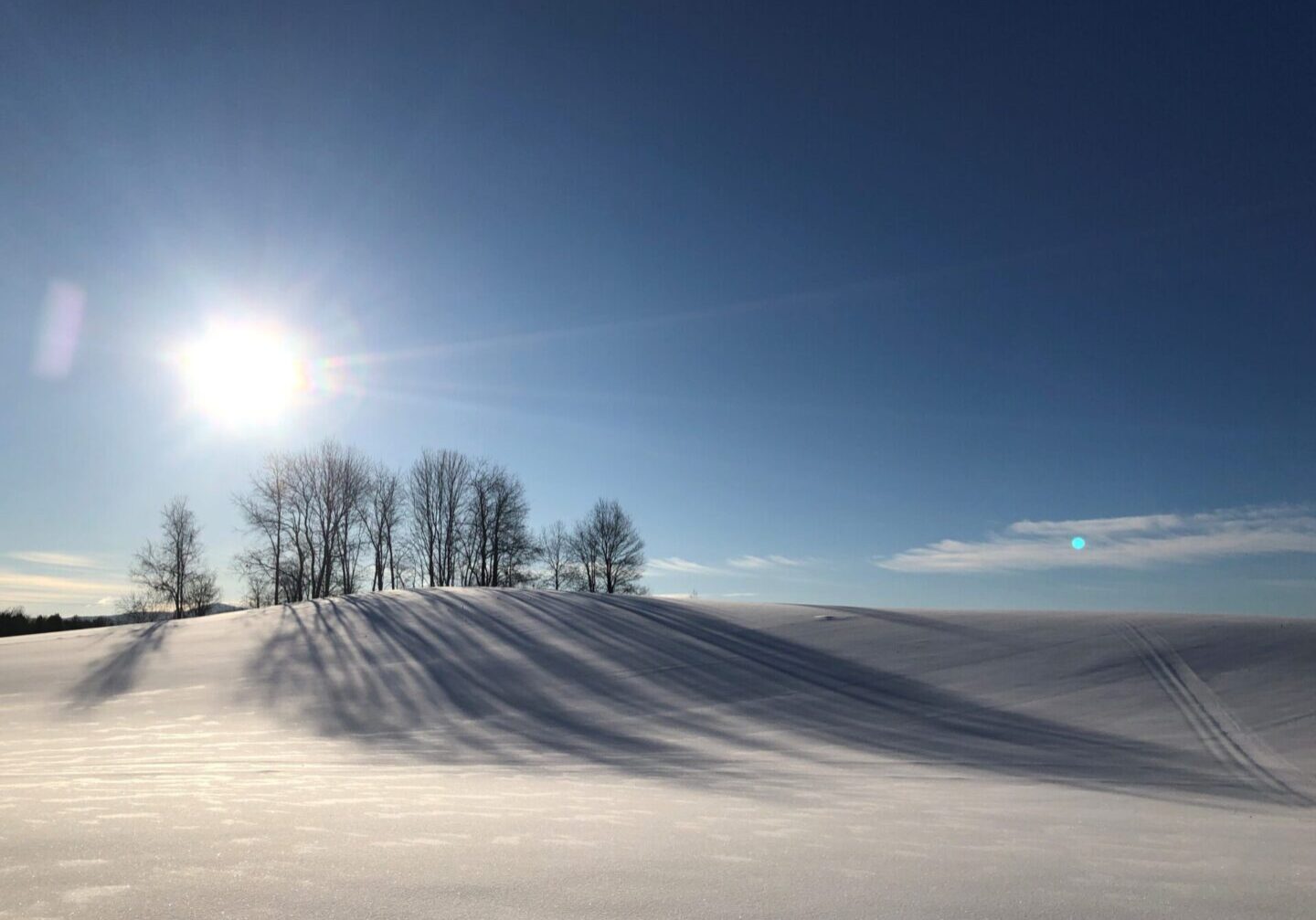 A group of trees on top of a snow covered hill.