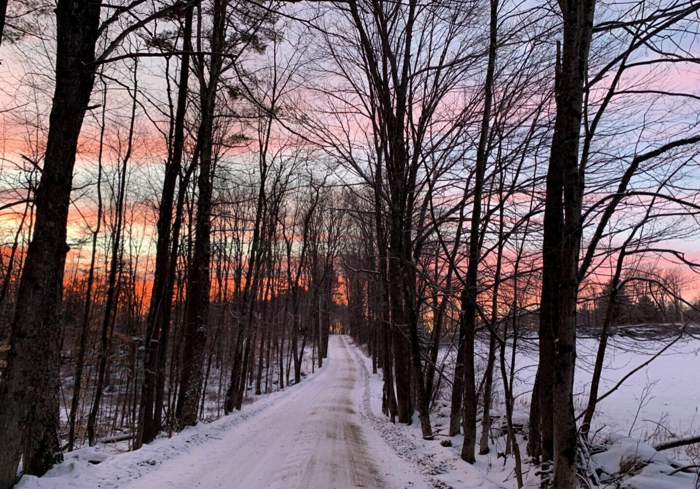 A snowy road going through the woods at sunset.